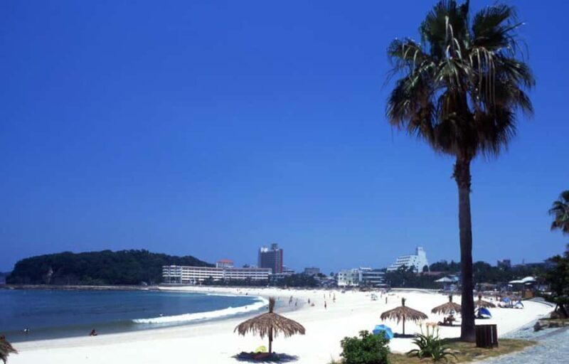 Wakayama: Day Trip to Shirahama Beach & Kuroshio Market - FAQ