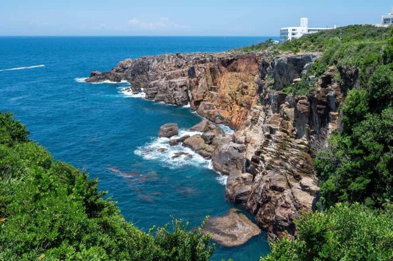 Wakayama: Day Trip to Shirahama Beach & Kuroshio Market - Good To Know