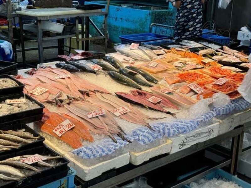Wakayama: Explore Japans Seafood Culture at Kuroshio Market - Good To Know