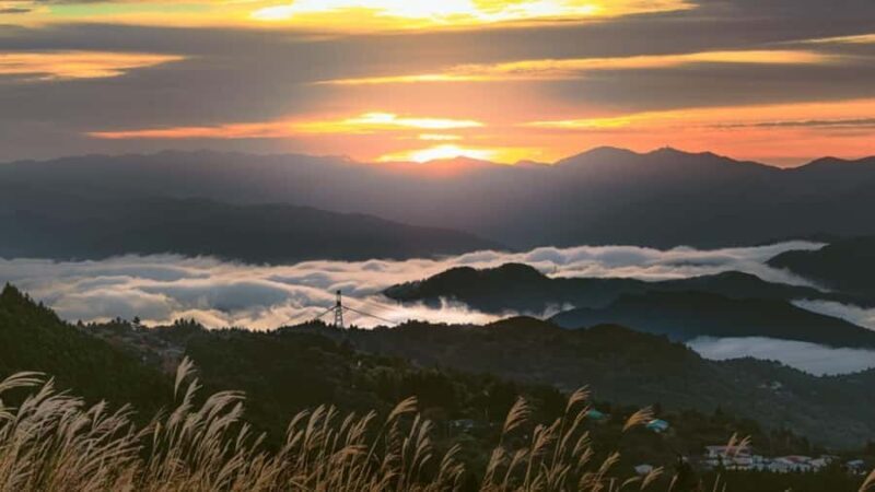 Wakayama: Hidden Coastal Nature & Sunset Tour From Osaka - Why This Tour Offers Great Value