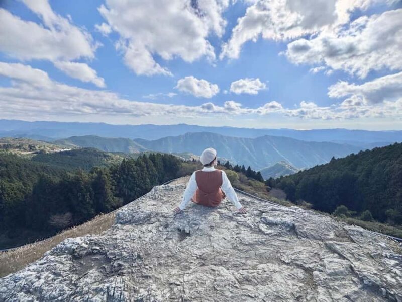 Wakayama: Hidden Coastal Nature & Sunset Tour From Osaka - Who Should Consider This Tour?