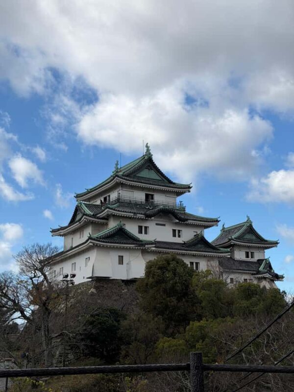 Wakayama: Hidden Coastal Nature & Sunset Tour From Osaka - FAQ