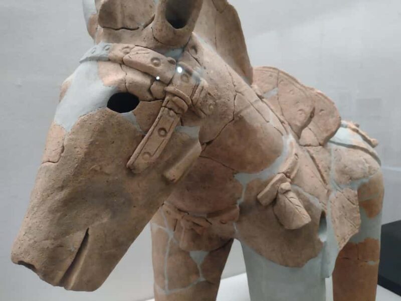 Wakayama: Iwase-Senzuka Ancient Tomb Cluster Tour - The Value of the Tour