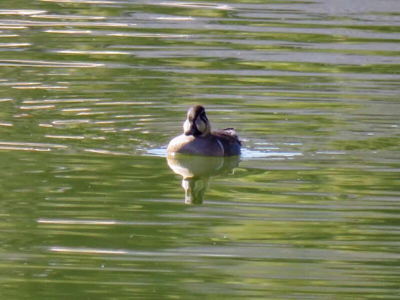 Wakayama: Iwase-Senzuka Ancient Tomb Cluster Tour - Who Will Love This Tour?