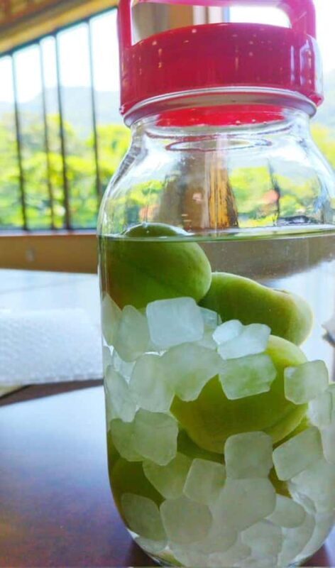 Wakayama: Kainan Plum Liqueur Factory and Historical Spots - Good To Know