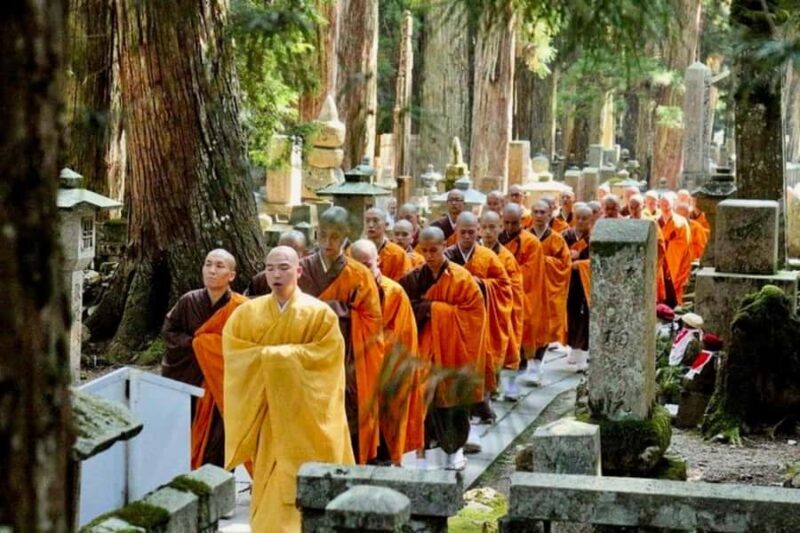 Wakayama & Koyasan: Private Tour with Hotel Pickup & Lunch - An In-Depth Look at the Experience