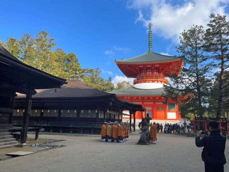 Wakayama & Koyasan: Private Tour with Hotel Pickup & Lunch - Practical Insights and Considerations