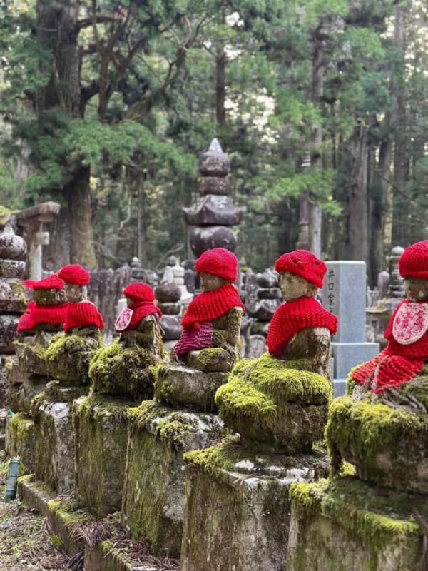 Wakayama & Koyasan: Private Tour with Hotel Pickup & Lunch - Summary