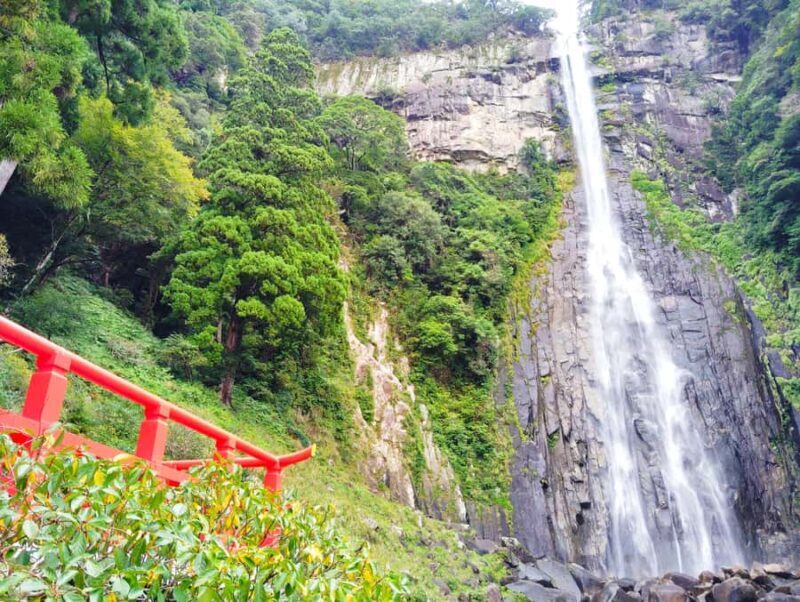 Wakayama: Kumano Nachi Taisha, Seiganto-ji & Waterfall Tour - Good To Know