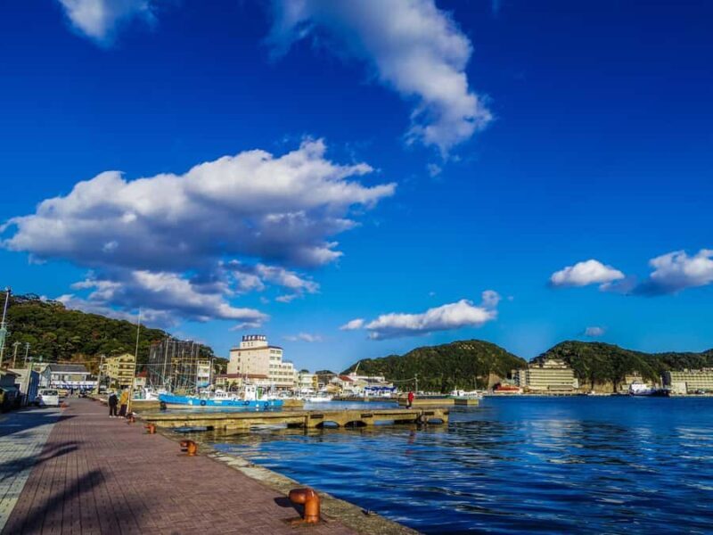 Wakayama: Learn & Taste Japan Tuna Culture in Nachikatsuura - Good To Know