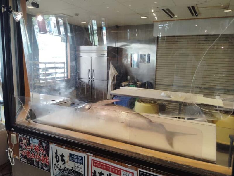 Wakayama: Learn & Taste Japan Tuna Culture in Nachikatsuura - FAQ