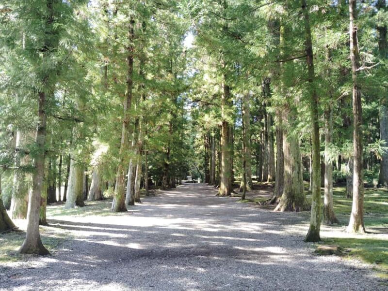 Wakayama: Legends and Purification at Kumano Hongu Shrine - Final Thoughts