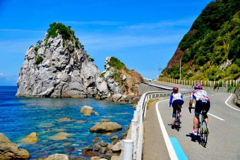 Wakayama: Mt. Koya, Kumano Kodo & Nachi Falls Private Tour - Exploring the Wakayama Private Tour in Depth