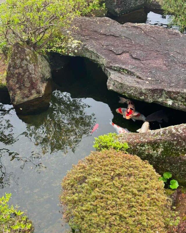 Wakayama: Mt. Koya, Kumano Kodo & Nachi Falls Private Tour - FAQs