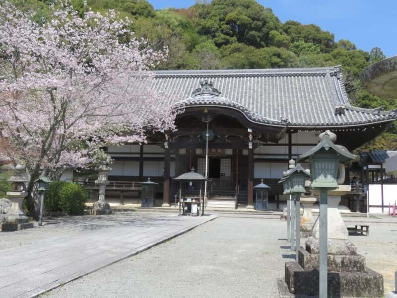 Wakayama: Negoro Historical Walking Tour with Temples Visit - Frequently Asked Questions