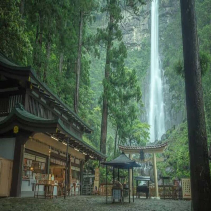 Wakayama: Private Tour to Nachi Falls & Mount Koya - The Spectacle of Nachi Falls