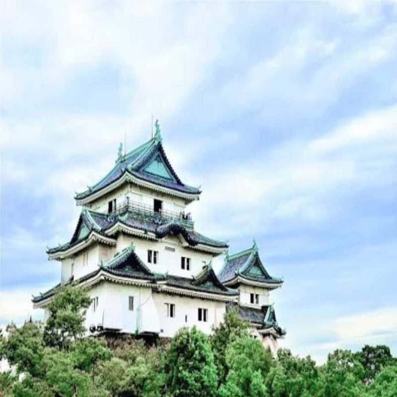 Wakayama: Private Tour to Nachi Falls & Mount Koya - Return Journey and Reflection