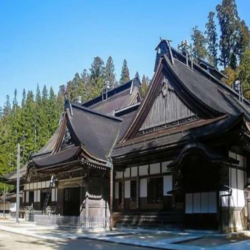 Wakayama: Private Tour to Nachi Falls & Mount Koya - Good To Know