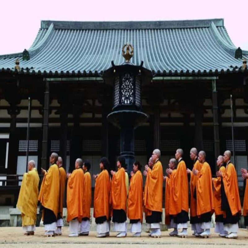 Wakayama: Private Tour to Nachi Falls & Mount Koya - An Authentic Day in Wakayama: What to Expect