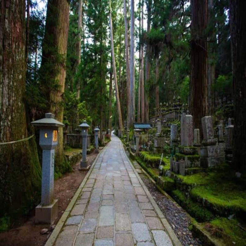 Wakayama: Private Tour to Nachi Falls & Mount Koya - The Sum Up