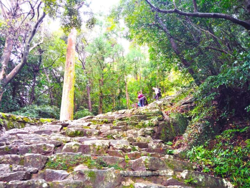 Wakayama: Sacred Journey to Kumano Hayatama and Kamikura - Good To Know