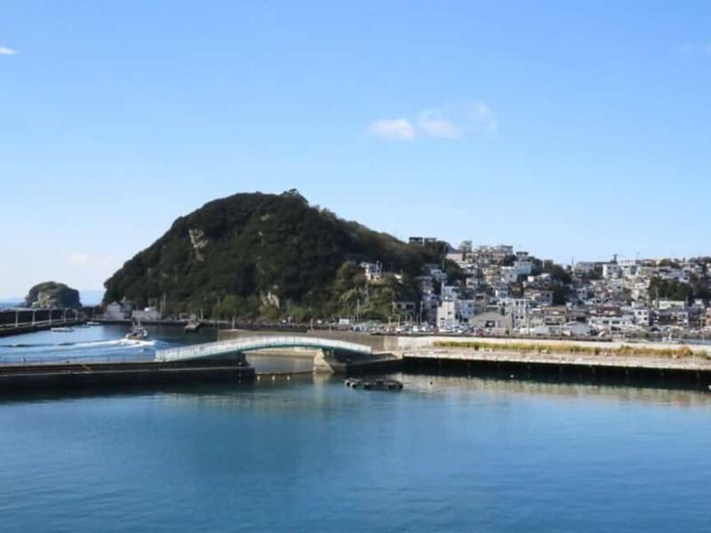Wakayama: Saikazaki, Fishing Town Walking Tour - Good To Know