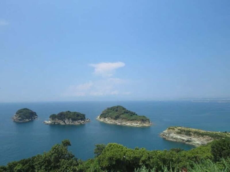 Wakayama: Saikazaki, Fishing Town Walking Tour - Good To Know