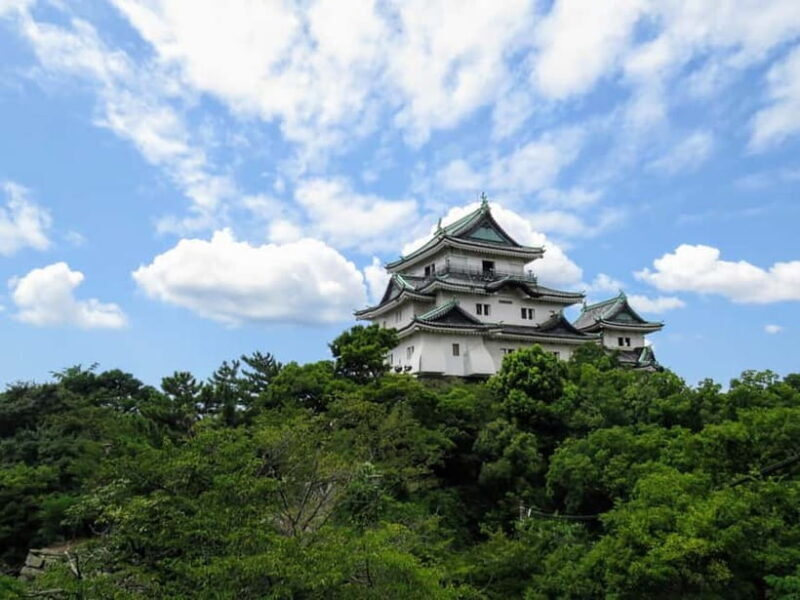 Wakayama: Samurai Experience with Castle Tour - Practical Details and Value