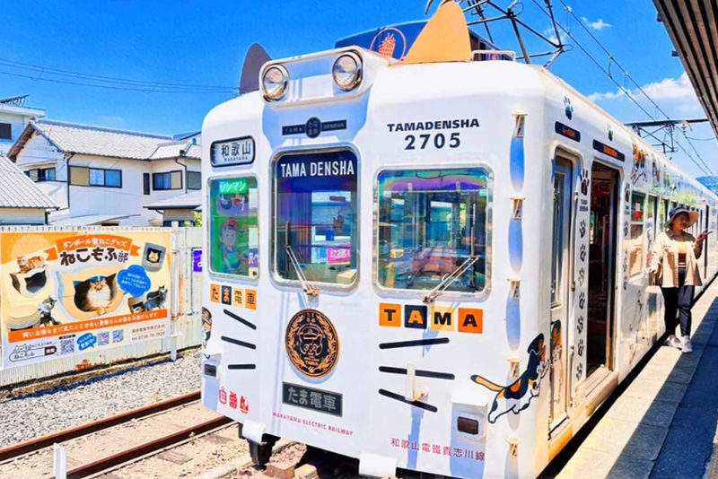 Wakayama/Shirahama: Kishi Station Cat Stationmaster Train Experience, Shirahama Senjojiki, and Sandanbeki Cliff One-Day Tour from Osaka - Why Kishi Station Makes a Memorable First Stop