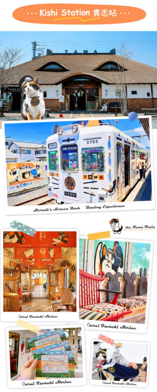 Wakayama/Shirahama: Kishi Station Cat Stationmaster Train Experience, Shirahama Senjojiki, and Sandanbeki Cliff One-Day Tour from Osaka - Senjojiki’s Layered Rock Shelf
