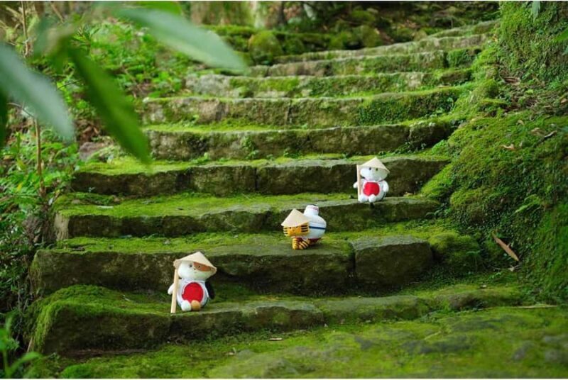 Wakayama: Shirahama & Kumano Kodo 2-Day Small-Group Tour - A Closer Look at the Itinerary