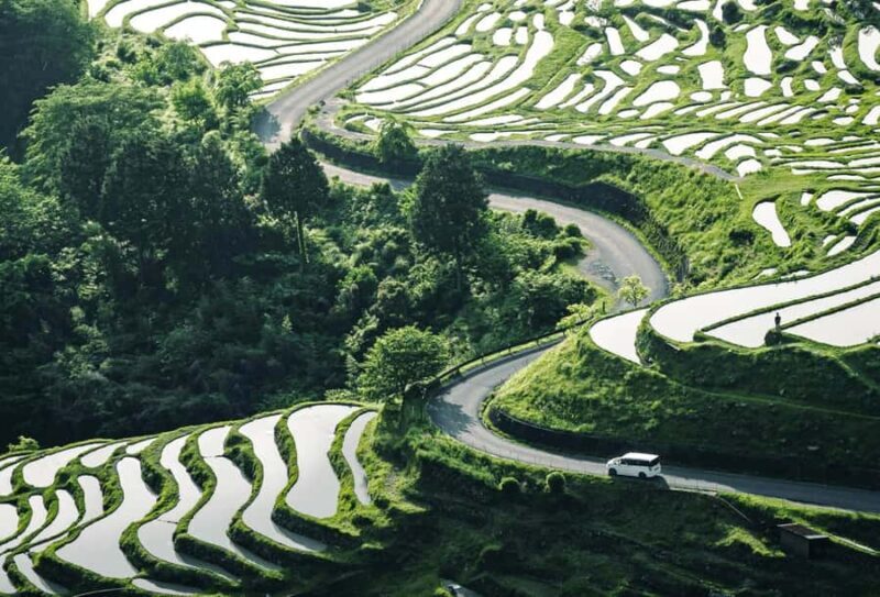 Wakayama: Shirahama & Kumano Kodo 2-Day Small-Group Tour - An in-depth look at the 2-day experience