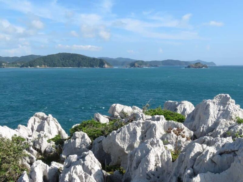 Wakayama: Shirasaki Coast, Yura Town Walking 3 Tours - Who Should Consider These Tours?