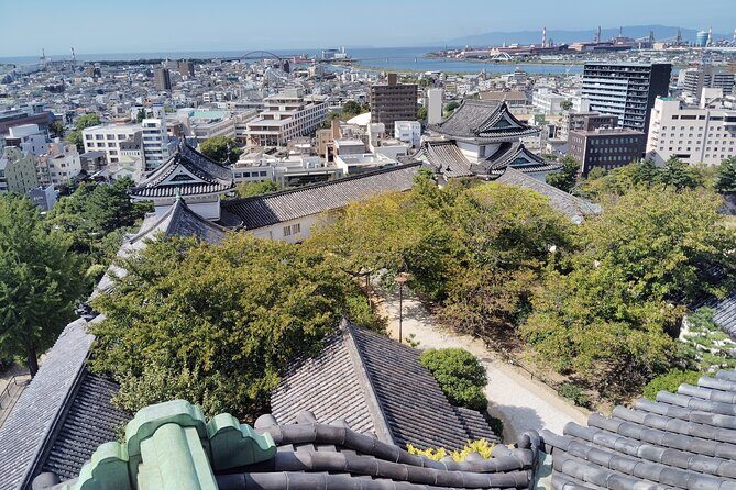 Wakayama: The Tokugawa Castle That Guarded the Southern Coast - Discovering Wakayama Castle: A Balance of History and Scenery