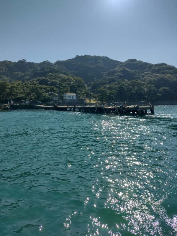 Wakayama: Tomogashima Island Hiking Tour - The Practicalities