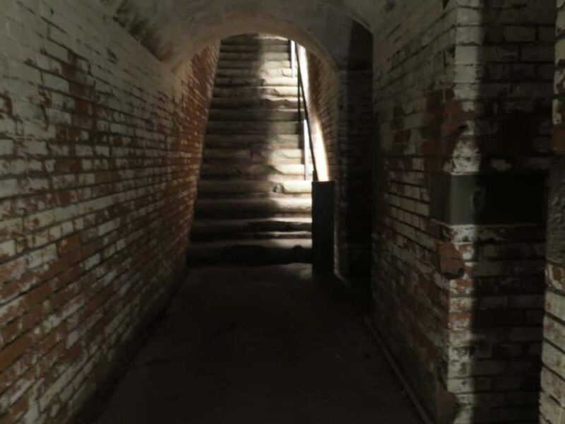 Wakayama: Tomogashima Island Hiking Tour - What’s Included and What’s Not