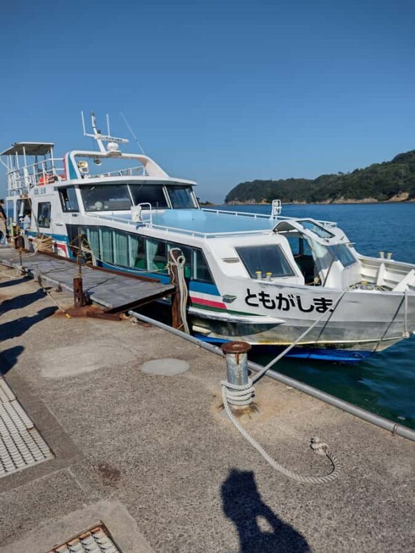 Wakayama: Tomogashima Island Hiking Tour - Why This Tour Works