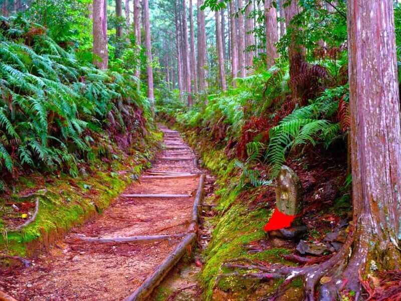 Wakayama: Walk the Kumano Kodo to Kumano Hongu Taisha - Detailed Breakdown of the Itinerary
