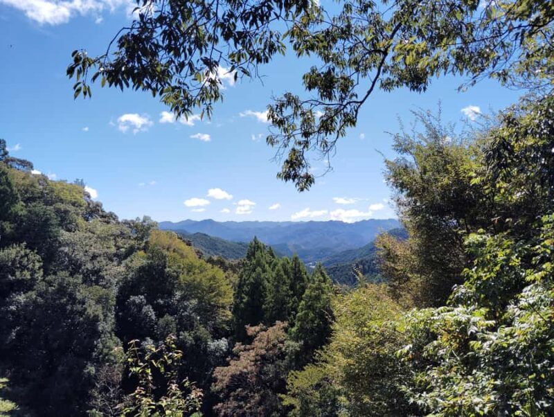 Wakayama: Walk the Kumano Kodo to Kumano Hongu Taisha - The Sum Up: Who is this tour perfect for?