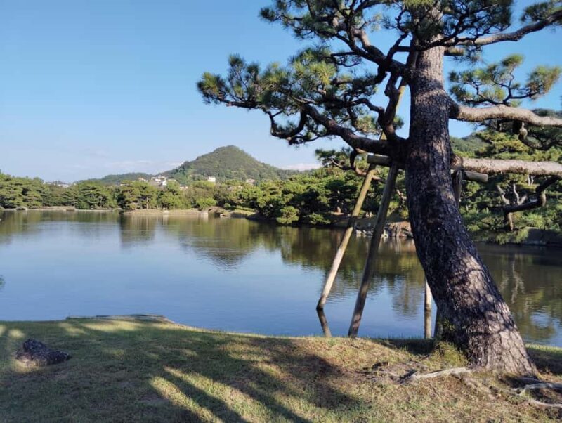 Wakayama: Yosuien  Tokugawa Garden of Edo Elegance - Practical Details and Experience Tips