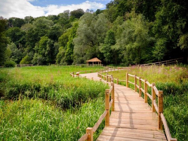 Wakehurst: Botanical Garden Entry Ticket - Background