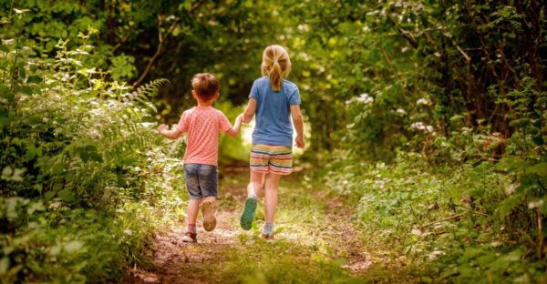 Wakehurst: Botanical Garden Entry Ticket - Important Information