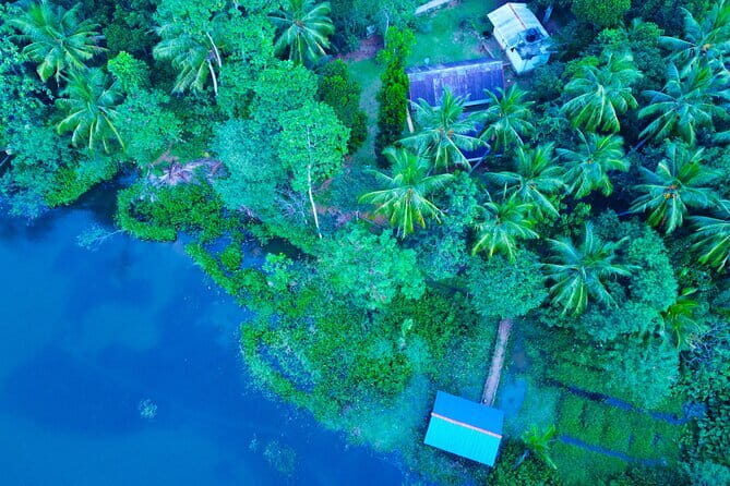 Walawe Palm Safari Udawalawe - The Sum Up: Is It Worth It?