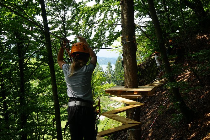 Waldseilpark Wörthersee Translates to "Forest Rope Park Wörthersee." - The Sum Up