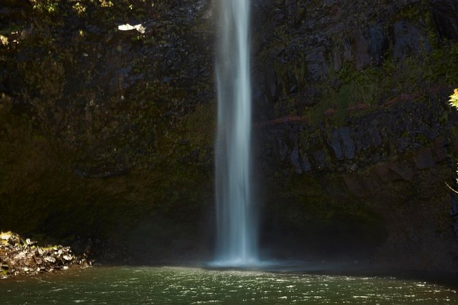 Walk 25 Fonts - No Words Needed - Itinerary Highlights