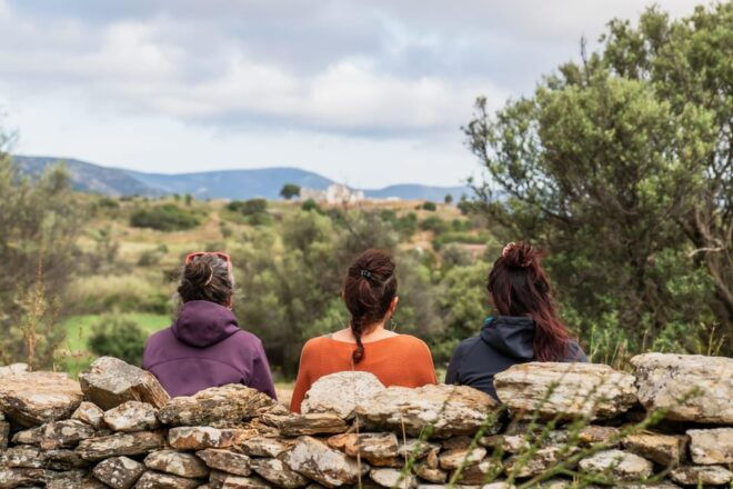 Walk Among the Olive Trees (Private Group Experience) - Tour Highlights