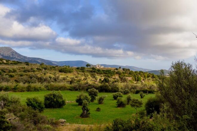 Walk Among the Olive Trees (Private Group Experience) - Transportation Details