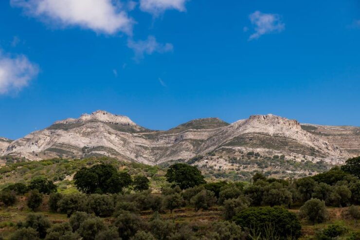 Walk Among the Olive Trees (Small Group Experience) - Scenic Hiking Trail