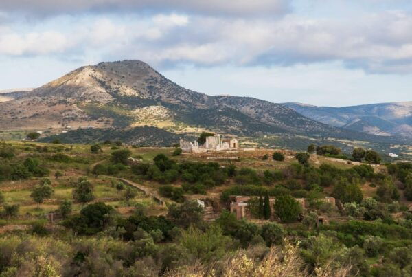 Walk Among the Olive Trees (Small Group Experience) - Meeting Point Details