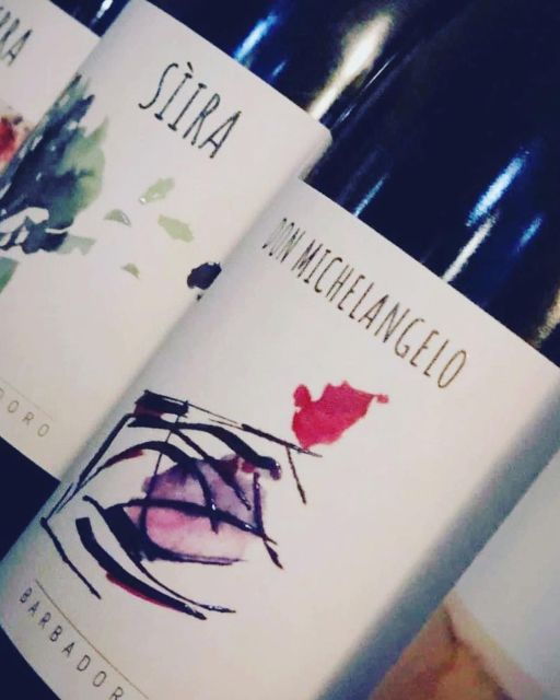 Walk Among the Rows of Vineyards and Wine Tasting - Activity Details